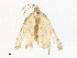  ( - CBG-A38547-C01)  @11 [ ] CreativeCommons - Attribution Share - Alike (2024) CBG Photography Group Centre for Biodiversity Genomics