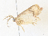  ( - CBG-A38547-C08)  @11 [ ] CreativeCommons - Attribution Share - Alike (2024) CBG Photography Group Centre for Biodiversity Genomics