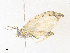  ( - CBG-A38547-D09)  @11 [ ] CreativeCommons - Attribution Share - Alike (2024) CBG Photography Group Centre for Biodiversity Genomics