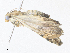  ( - CBG-A38547-G12)  @11 [ ] CreativeCommons - Attribution Share - Alike (2024) CBG Photography Group Centre for Biodiversity Genomics