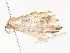  ( - CBG-A38548-A04)  @11 [ ] CreativeCommons - Attribution Share - Alike (2024) CBG Photography Group Centre for Biodiversity Genomics