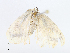 ( - CBG-A06261-E05)  @11 [ ] CreativeCommons - Attribution Share - Alike (2023) CBG Photography Group Centre for Biodiversity Genomics