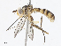  ( - CBG-A06274-B04)  @11 [ ] CreativeCommons - Attribution Share - Alike (2023) CBG Photography Group Centre for Biodiversity Genomics
