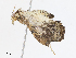  ( - CBG-A06275-C02)  @11 [ ] CreativeCommons - Attribution Share - Alike (2023) CBG Photography Group Centre for Biodiversity Genomics