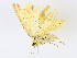  ( - CBG-A06276-F08)  @11 [ ] CreativeCommons - Attribution Share - Alike (2023) CBG Photography Group Centre for Biodiversity Genomics