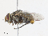  ( - CBG-A06277-B02)  @11 [ ] CreativeCommons - Attribution Share - Alike (2023) CBG Photography Group Centre for Biodiversity Genomics