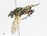  ( - CBG-A06277-B05)  @11 [ ] CreativeCommons - Attribution Share - Alike (2023) CBG Photography Group Centre for Biodiversity Genomics