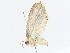  ( - CBG-A08719-A01)  @11 [ ] CreativeCommons - Attribution Share - Alike (2023) CBG Photography Group Centre for Biodiversity Genomics