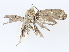  ( - CBG-A08719-A10)  @11 [ ] CreativeCommons - Attribution Share - Alike (2023) CBG Photography Group Centre for Biodiversity Genomics