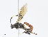  ( - CBG-A08719-D08)  @11 [ ] CreativeCommons - Attribution Share - Alike (2023) CBG Photography Group Centre for Biodiversity Genomics