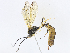  ( - CBG-A08719-E10)  @11 [ ] CreativeCommons - Attribution Share - Alike (2023) CBG Photography Group Centre for Biodiversity Genomics