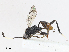  ( - CBG-A08719-F04)  @11 [ ] CreativeCommons - Attribution Share - Alike (2023) CBG Photography Group Centre for Biodiversity Genomics