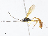  ( - CBG-A08719-F12)  @11 [ ] CreativeCommons - Attribution Share - Alike (2023) CBG Photography Group Centre for Biodiversity Genomics