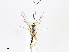  ( - CBG-A08719-G07)  @11 [ ] CreativeCommons - Attribution Share - Alike (2023) CBG Photography Group Centre for Biodiversity Genomics