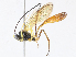  ( - CBG-A08719-G09)  @11 [ ] CreativeCommons - Attribution Share - Alike (2023) CBG Photography Group Centre for Biodiversity Genomics