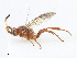  ( - CBG-A08723-C06)  @11 [ ] CreativeCommons - Attribution Share - Alike (2023) CBG Photography Group Centre for Biodiversity Genomics