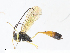  ( - CBG-A08723-C12)  @11 [ ] CreativeCommons - Attribution Share - Alike (2023) CBG Photography Group Centre for Biodiversity Genomics