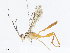  ( - CBG-A08723-D02)  @11 [ ] CreativeCommons - Attribution Share - Alike (2023) CBG Photography Group Centre for Biodiversity Genomics