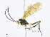  ( - CBG-A08723-D07)  @11 [ ] CreativeCommons - Attribution Share - Alike (2023) CBG Photography Group Centre for Biodiversity Genomics