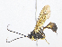  ( - CBG-A08723-D09)  @11 [ ] CreativeCommons - Attribution Share - Alike (2023) CBG Photography Group Centre for Biodiversity Genomics