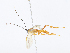  ( - CBG-A08723-D11)  @11 [ ] CreativeCommons - Attribution Share - Alike (2023) CBG Photography Group Centre for Biodiversity Genomics
