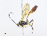  ( - CBG-A08723-E04)  @11 [ ] CreativeCommons - Attribution Share - Alike (2023) CBG Photography Group Centre for Biodiversity Genomics