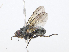  ( - CBG-A08723-F08)  @11 [ ] CreativeCommons - Attribution Share - Alike (2023) CBG Photography Group Centre for Biodiversity Genomics
