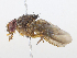  ( - CBG-A08723-G07)  @11 [ ] CreativeCommons - Attribution Share - Alike (2023) CBG Photography Group Centre for Biodiversity Genomics