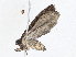  ( - CBG-A08724-C10)  @11 [ ] CreativeCommons - Attribution Share - Alike (2023) CBG Photography Group Centre for Biodiversity Genomics