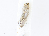  ( - CBG-A08724-D12)  @11 [ ] CreativeCommons - Attribution Share - Alike (2023) CBG Photography Group Centre for Biodiversity Genomics