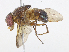  ( - CBG-A08724-G06)  @11 [ ] CreativeCommons - Attribution Share - Alike (2023) CBG Photography Group Centre for Biodiversity Genomics