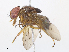  ( - CBG-A08724-G08)  @11 [ ] CreativeCommons - Attribution Share - Alike (2023) CBG Photography Group Centre for Biodiversity Genomics