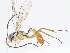  ( - CBG-A08725-E06)  @11 [ ] CreativeCommons - Attribution Share - Alike (2023) CBG Photography Group Centre for Biodiversity Genomics