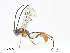  ( - CBG-A08725-E10)  @11 [ ] CreativeCommons - Attribution Share - Alike (2023) CBG Photography Group Centre for Biodiversity Genomics
