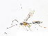  ( - CBG-A08725-E11)  @11 [ ] CreativeCommons - Attribution Share - Alike (2023) CBG Photography Group Centre for Biodiversity Genomics
