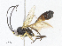  ( - CBG-A08740-B11)  @11 [ ] CreativeCommons - Attribution Share - Alike (2023) CBG Photography Group Centre for Biodiversity Genomics