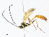  ( - CBG-A10813-B10)  @11 [ ] CreativeCommons - Attribution Share - Alike (2023) CBG Photography Group Centre for Biodiversity Genomics