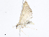  ( - CBG-A10813-D05)  @11 [ ] CreativeCommons - Attribution Share - Alike (2023) CBG Photography Group Centre for Biodiversity Genomics