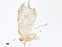  ( - CBG-A10813-D09)  @11 [ ] CreativeCommons - Attribution Share - Alike (2023) CBG Photography Group Centre for Biodiversity Genomics