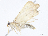  ( - CBG-A10813-E06)  @11 [ ] CreativeCommons - Attribution Share - Alike (2023) CBG Photography Group Centre for Biodiversity Genomics