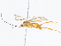  ( - CBG-A10814-A02)  @11 [ ] CreativeCommons - Attribution Share - Alike (2023) CBG Photography Group Centre for Biodiversity Genomics