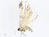  ( - CBG-A10814-B02)  @11 [ ] CreativeCommons - Attribution Share - Alike (2023) CBG Photography Group Centre for Biodiversity Genomics