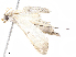  ( - CBG-A10814-H09)  @11 [ ] CreativeCommons - Attribution Share - Alike (2023) CBG Photography Group Centre for Biodiversity Genomics