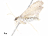  ( - CBG-A10814-H10)  @11 [ ] CreativeCommons - Attribution Share - Alike (2023) CBG Photography Group Centre for Biodiversity Genomics