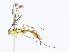  ( - CBG-A10815-C05)  @11 [ ] CreativeCommons - Attribution Share - Alike (2023) CBG Photography Group Centre for Biodiversity Genomics