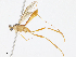  ( - CBG-A10816-A08)  @11 [ ] CreativeCommons - Attribution Share - Alike (2023) CBG Photography Group Centre for Biodiversity Genomics