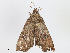  ( - CBG-A10816-D05)  @11 [ ] CreativeCommons - Attribution Share - Alike (2023) CBG Photography Group Centre for Biodiversity Genomics