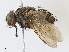  ( - CBG-A10817-B09)  @11 [ ] CreativeCommons - Attribution Share - Alike (2023) CBG Photography Group Centre for Biodiversity Genomics