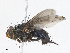  ( - CBG-A10818-B05)  @11 [ ] CreativeCommons - Attribution Share - Alike (2023) CBG Photography Group Centre for Biodiversity Genomics