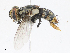  ( - CBG-A10818-B06)  @11 [ ] CreativeCommons - Attribution Share - Alike (2023) CBG Photography Group Centre for Biodiversity Genomics